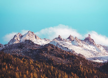 登“堂”入室！“甜瓜”安东尼将在本周末参加名人堂入选仪式